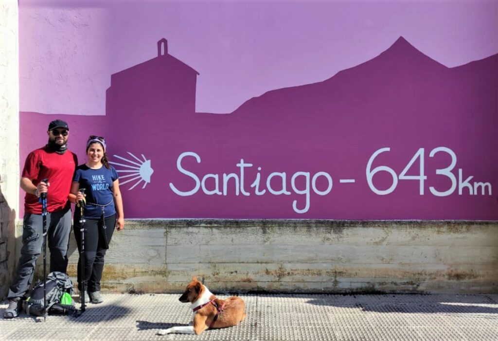 CÓMO HACER EL CAMINO ARAGONÉS (CON PERRO)