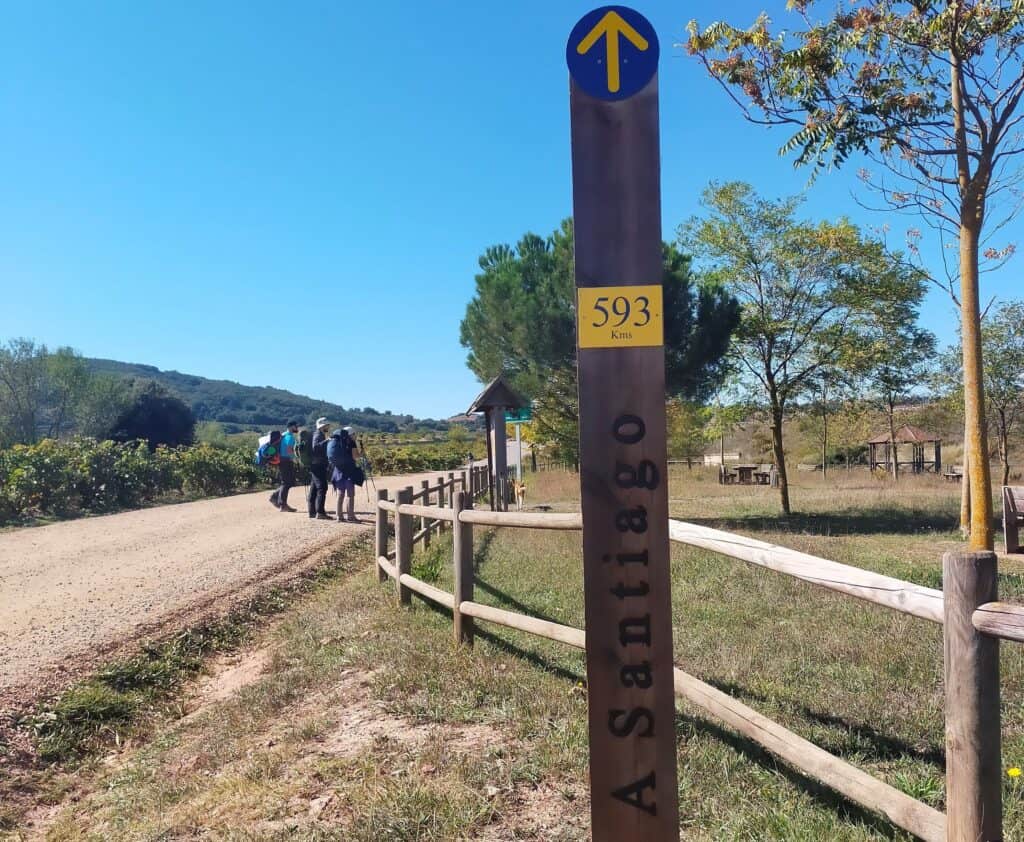 Amigos en el Camino de Santiago