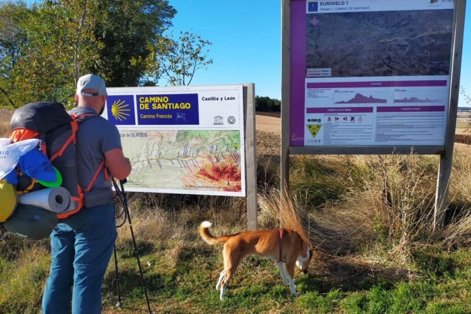 Camino de Santiago Francés