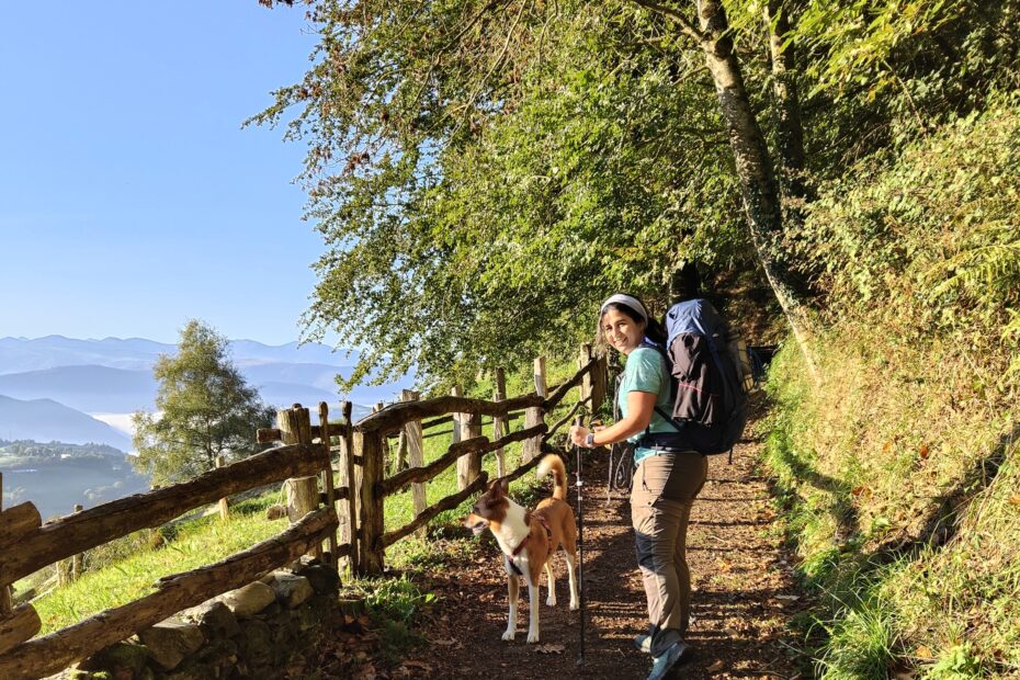 camino primitivo con perro