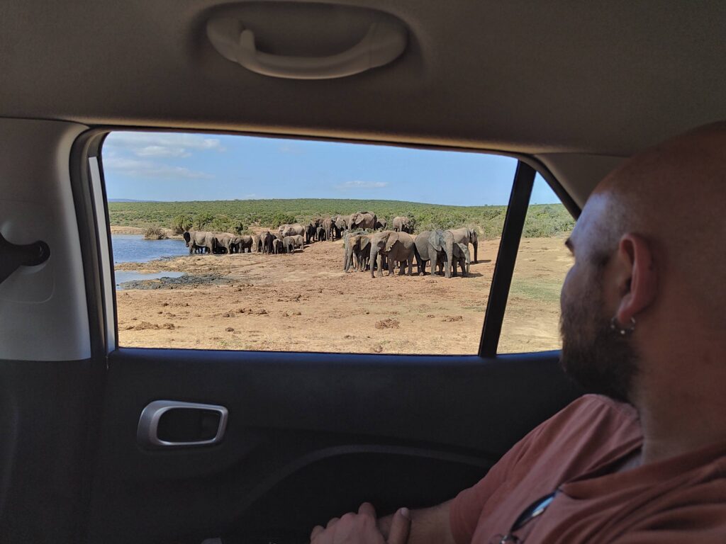 Conducir en Sudafrica Conducir en Sudafrica