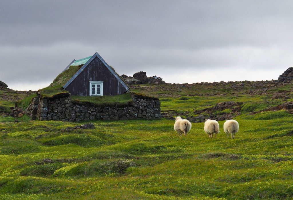 tierras altas islandia