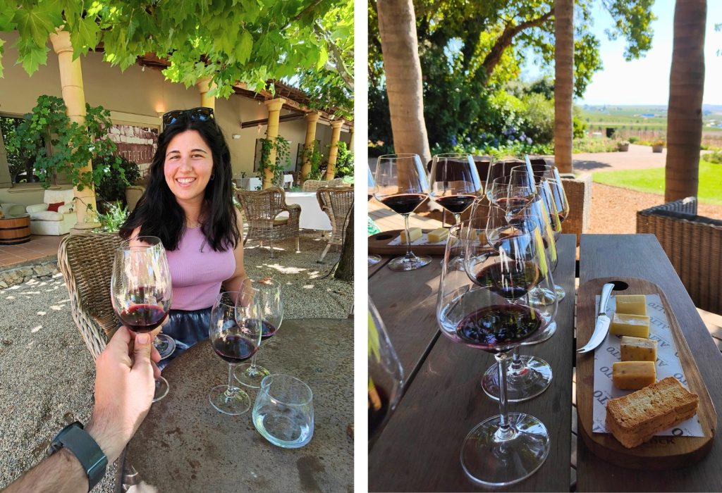 ruta del vino sudafrica